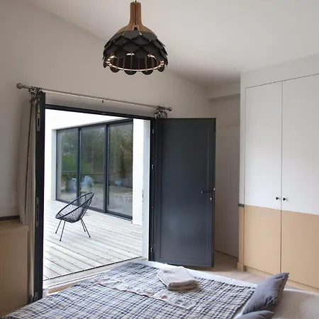 L Hirondelle Et L Instant Dolus d'Oléron