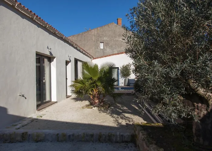 L Hirondelle Et L Instant