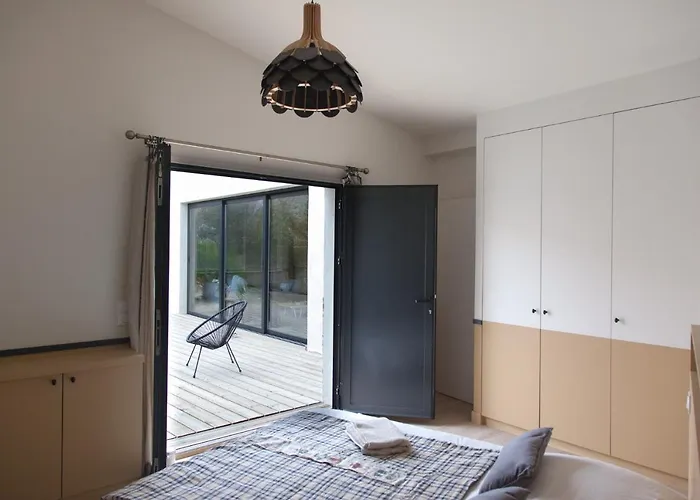 L Hirondelle Et L Instant Dolus d'Oléron